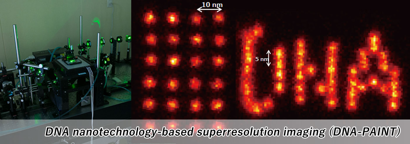 DNA nanotechnology-based superresolution imaging (DNA-PAINT)