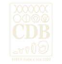 cdb-joint