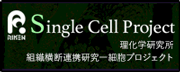 Single Cell project