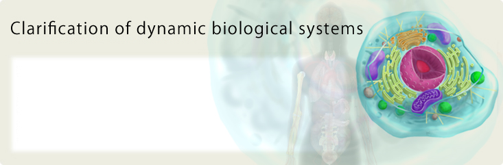 Clarification of dynamic biological systems