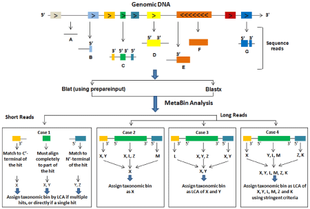 MetaBin Scheme