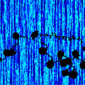 RNA polymerase