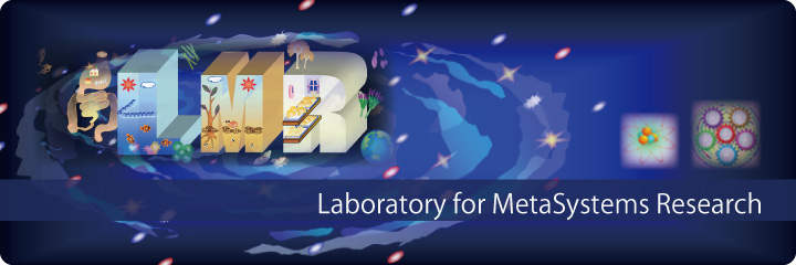 Laboratory for MetaSystems Research