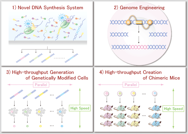 design core schematics