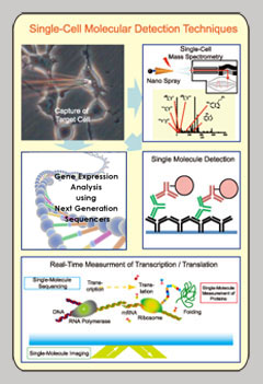 Single-Cell Molecular Desighn Techniques