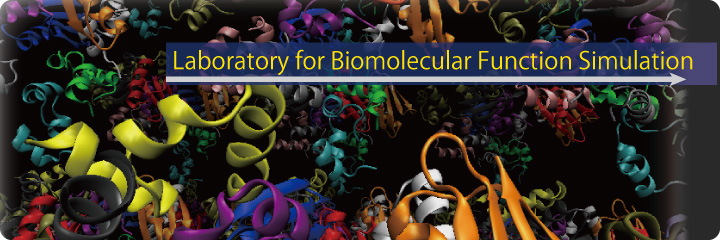 Laboratory for Biomolecular Function Simulation