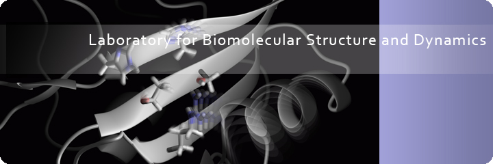 Laboratory for Biomolecular Structure and Dynamics