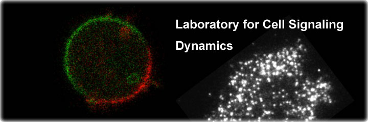 Laboratory for Cell Signaling Dynamics