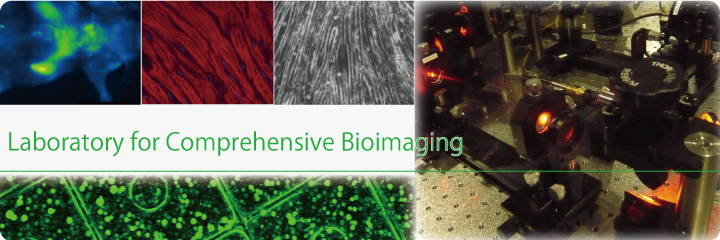 Laboratory for Comprehensive Bioimaging