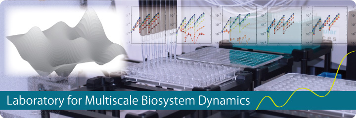 Laboratory for Multiscale Biosystem Dynamics