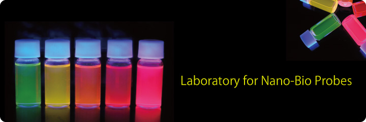 Laboratory for Nano-Bio Probes