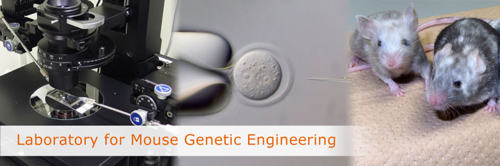 Laboratory for Mouse Genetic Engineering
