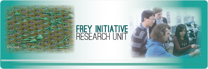 Frey initiative research unit