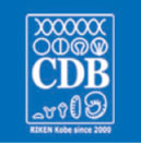 CDB logo