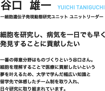 谷口雄一　YUICHI TANIGUCHI　一細胞遺伝子発現動態研究ユニット　ユニットリーダー　一細胞を研究し、病気を一日でも早く発見することに貢献したい　一番の得意分野はものづくりという谷口さん。細胞を理解することで医療に貢献したいという夢を叶えるため、大学で学んだ幅広い知識と留学先で体感したチーム制を取り入れ、日々研究に取り組まれています。