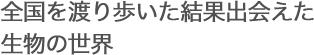 全国を渡り歩いた結果出会えた生物の世界
