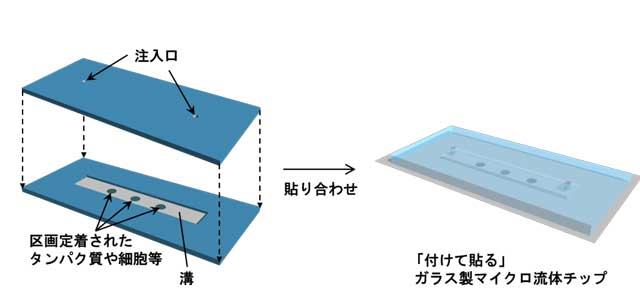 「付けて貼る」ガラス製マイクロ流体チップの概要