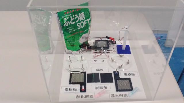 横浜一般公開