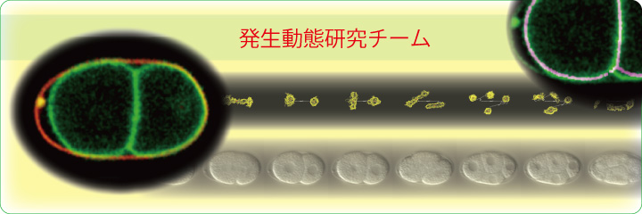 発生動態研究チーム