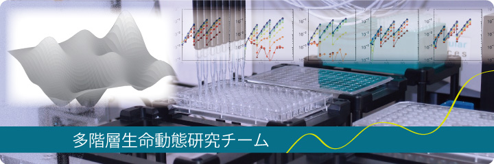 多階層生命動態研究チーム