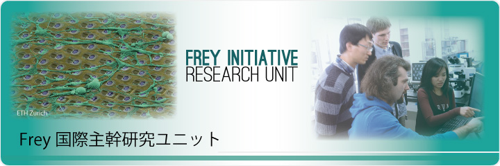Frey 国際主幹研究ユニット
