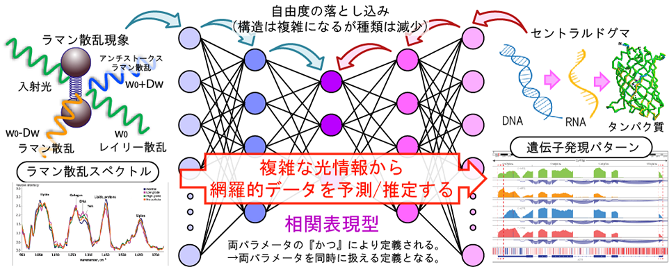 パソコン用の画像