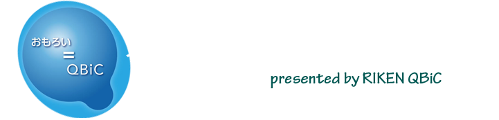 QBiC スプリングコース